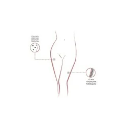 Anti-cellulite Pack - Active ingredients of mesotherapy - Mesotherapy - Institute BCN Packs